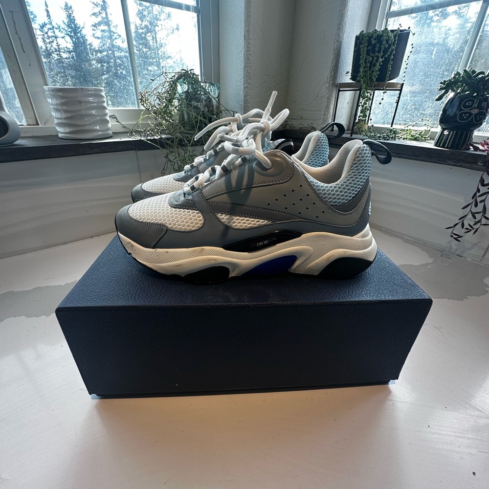 Dior b22